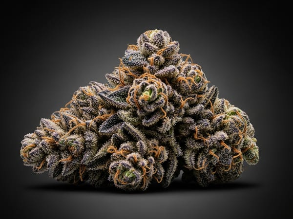 Black Alien THCa flower — Indica, 27% THCa