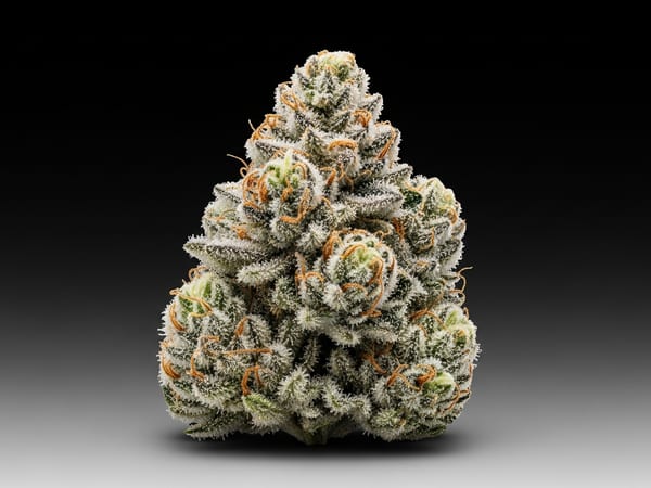 Diesel Crystal THCa flower — Sativa, 19.4% THCa