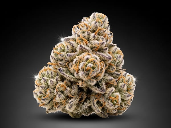 Green Cookies THCa flower — Sativa, 21.9% THCa