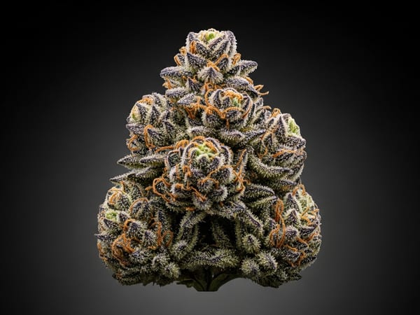 Green Dream THCa flower — Indica, 26% THCa