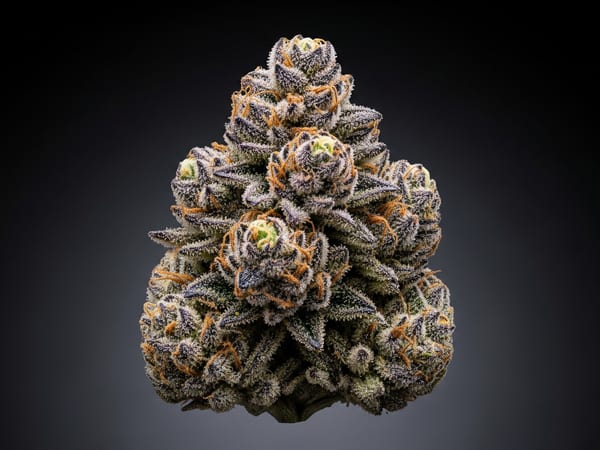 Hulk THCa flower — Indica, 20.6% THCa