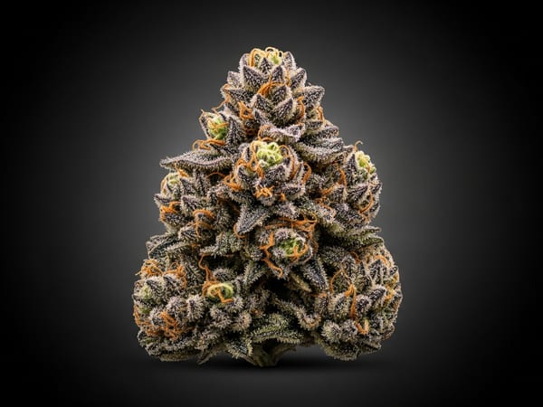 Lightning THCa flower — Indica, 21.3% THCa