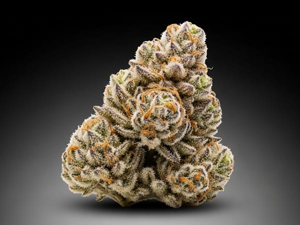 Mega Cake THCa flower — Indica, 24.8% THCa