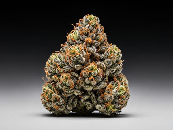 Mint Fire THCa flower — Hybrid, 27.2% THCa