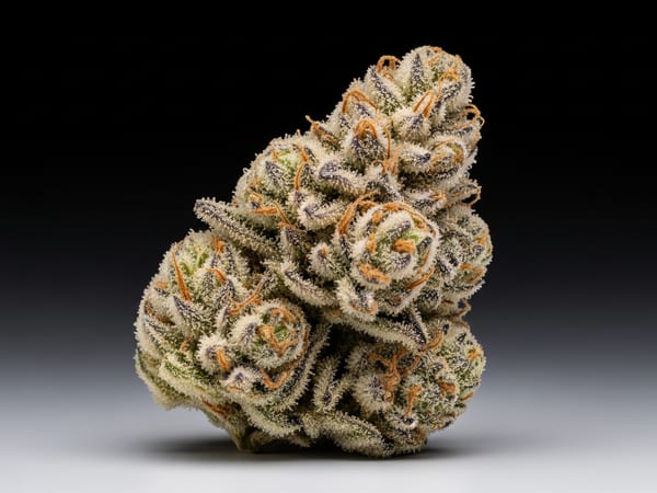 Queen Cookies THCa flower — Indica, 21.8% THCa