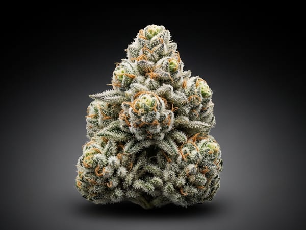 Royal Diamond THCa flower — Indica, 24.5% THCa