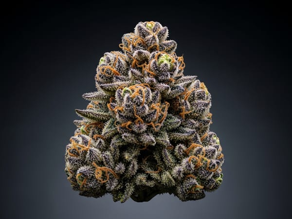 Royal Empire THCa flower — Indica, 21.8% THCa
