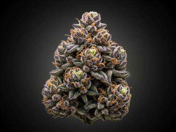 Royal Thunder THCa flower — Indica, 22.3% THCa