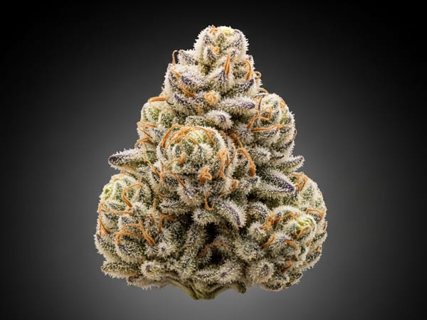 Sherbet THCa flower — Indica, 15% THCa