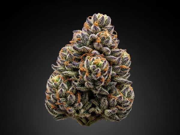 Super Reserve THCa flower — Indica, 28.3% THCa