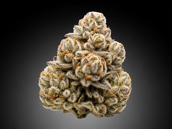 Vanilla Alien THCa flower — Indica, 27% THCa